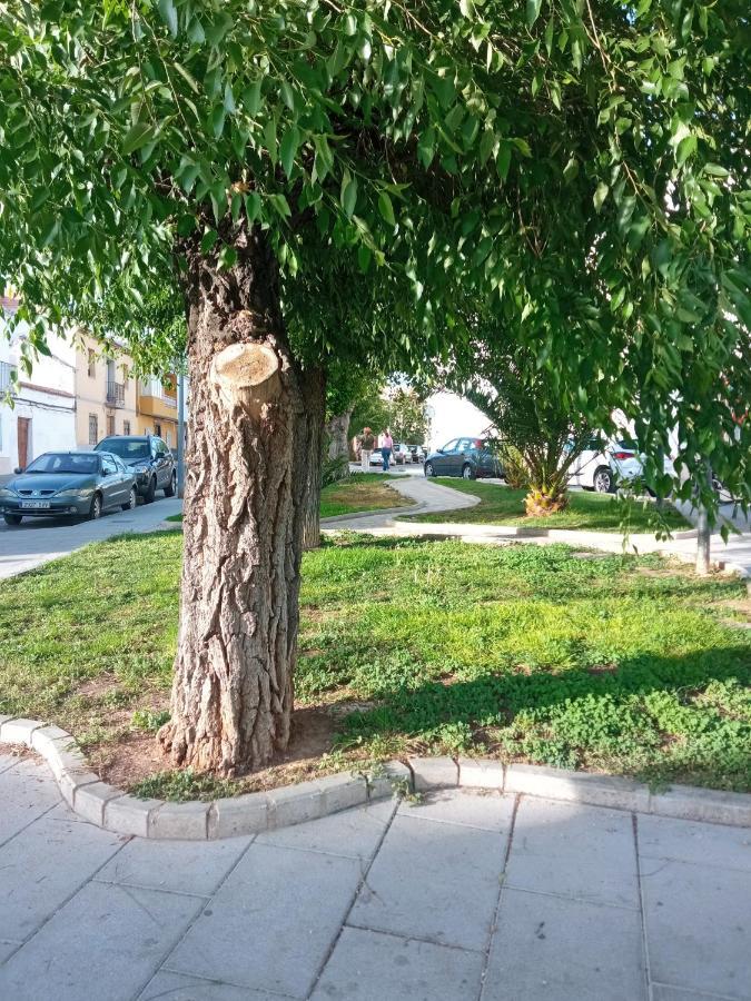 Apartamento San Miguel Baena